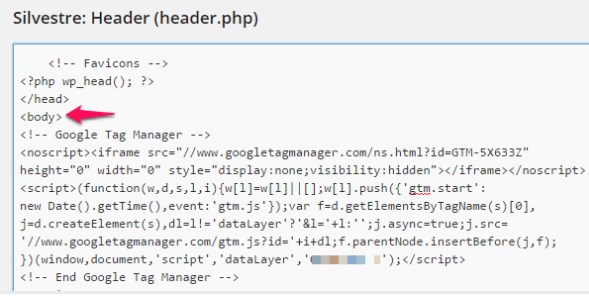 C instalar tag manager wordpress